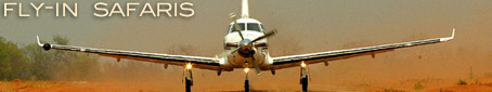 Luxury Fly-in Safaris | Air Safaris in Africa