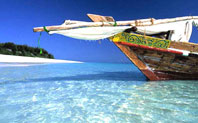 A romantic honeymoon in Africa...
