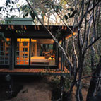 Phinda forest Lodge