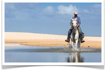Horse Riding Expert South Africa