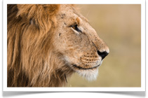 Ker Downey Vacations