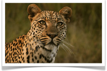 Travel Expert Tanzania