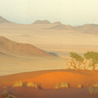 Namib Desert