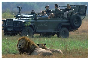 Game viewing in open 4x4 vehicles