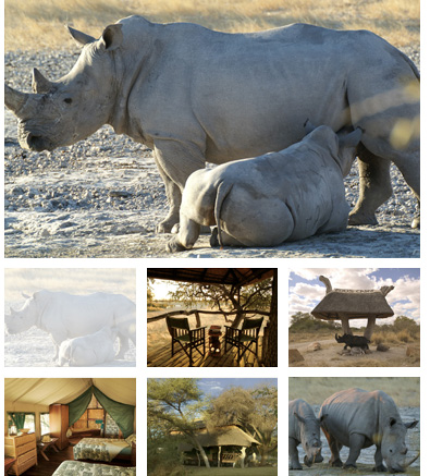 Edo's Camp - Kalahari, Botswana