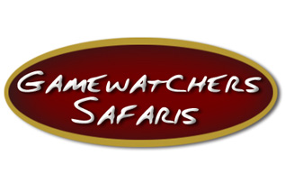 Gamewatchers Safaris