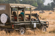 Nasikia Tanzania Safari