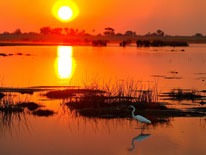 Botswana Honeymoon