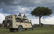 Lion Porini Camp