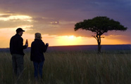 Lion Porini Camp