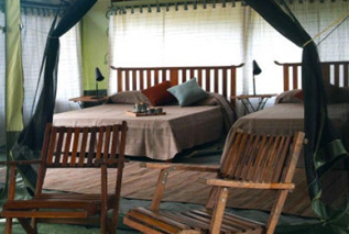 Porini Lion Camp, Kenya