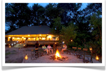 14 day Luxury South Africa - Safari Royale