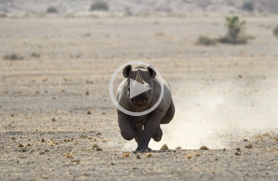 Namibia Travel Guide - Videos