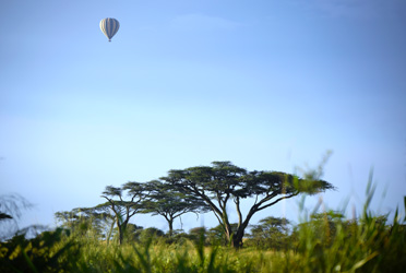 Worldwide Safaris Tanzania - African Holidays