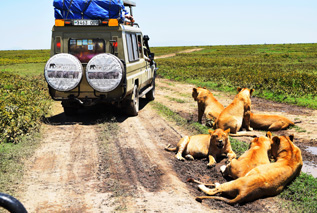 Worldwide Safaris Tanzania