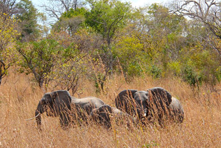 Worldwide Safaris Tanzania